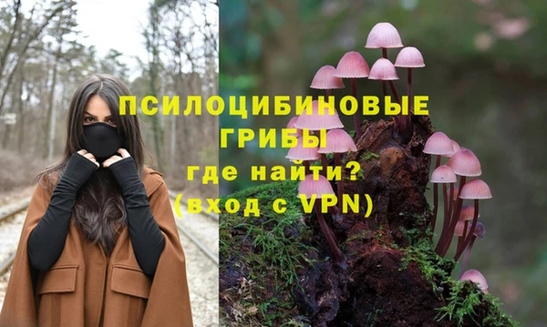 мескалин Краснослободск