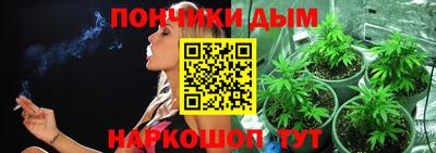 мдпв Краснознаменск