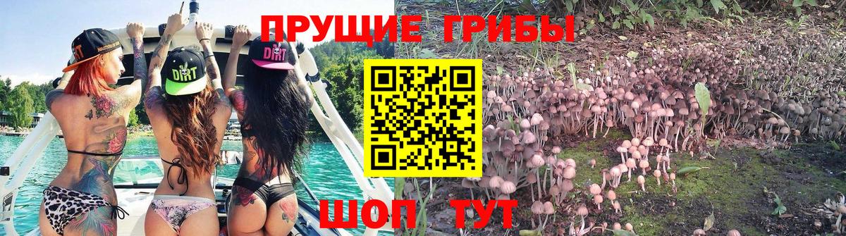 Урай  Псилоцибиновые грибы прущие грибы  даркнет сайт  Галлюциногенные грибы мицелий  Вход с VPN 