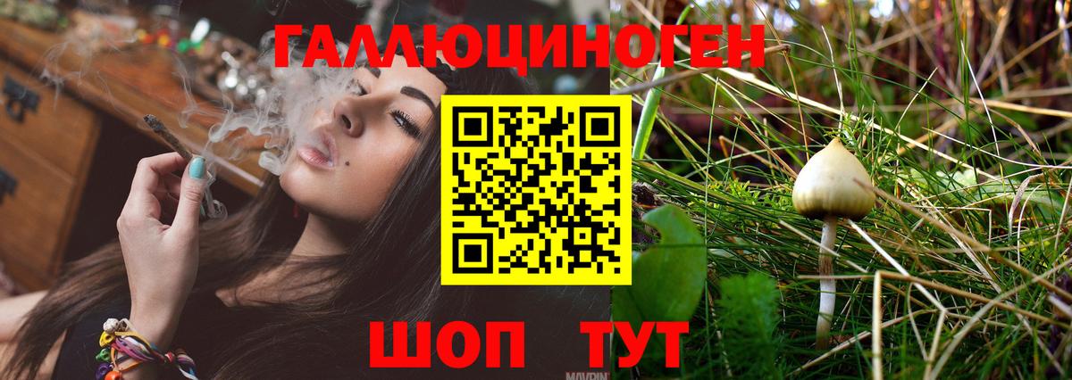 Псилоцибиновые грибы прущие грибы Урай