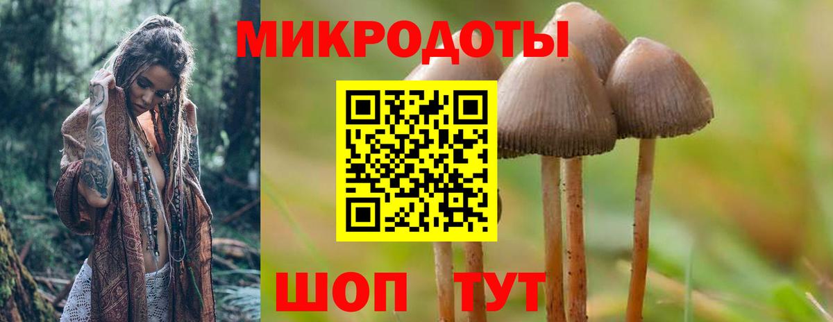 Галлюциногенные грибы Cubensis Урай