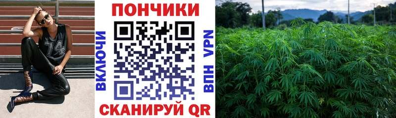 Канабис Amnesia  как найти наркотики  Урай 